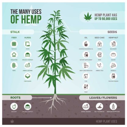 Hemp and Its Many Uses